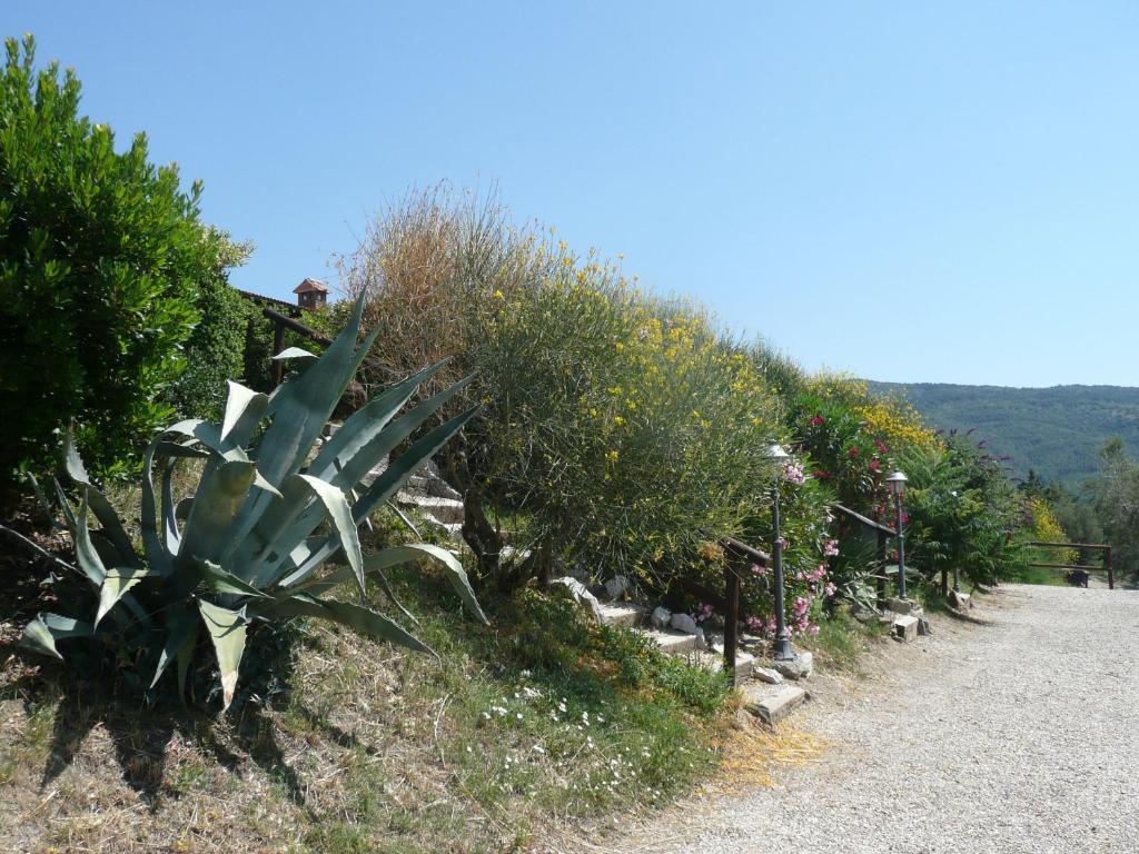 Agriturismo Annibale Tuoro sul Trasimeno Eksteriør bilde